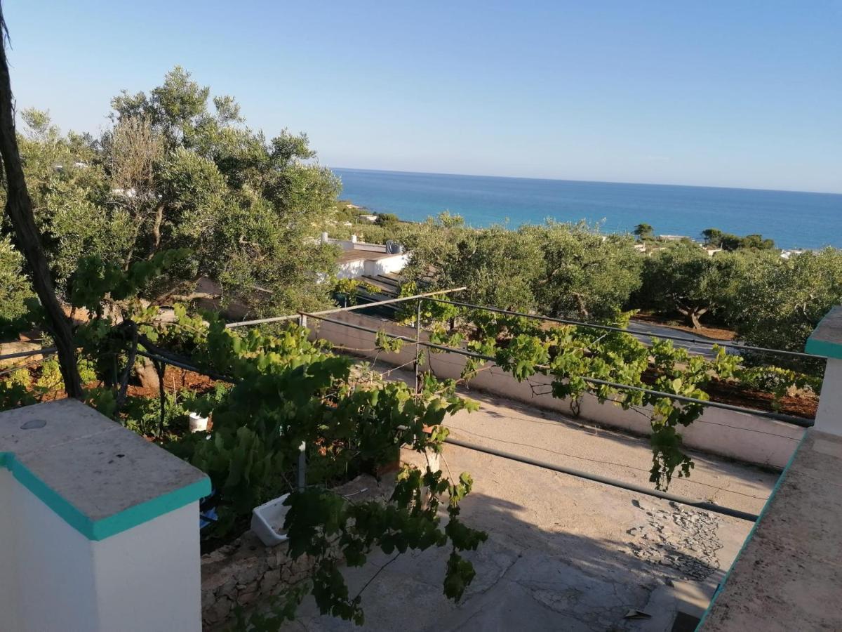 דירות Salignano  La Mennula Garden מראה חיצוני תמונה