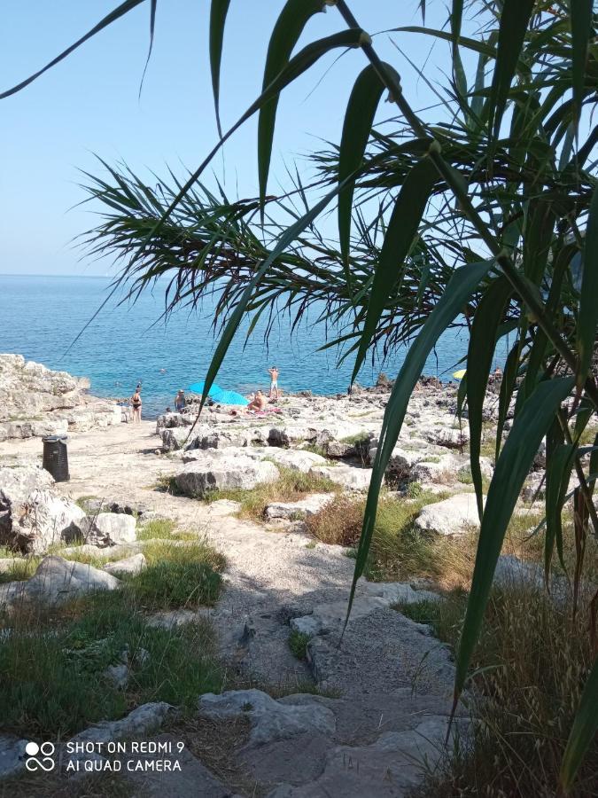 דירות Salignano  La Mennula Garden מראה חיצוני תמונה