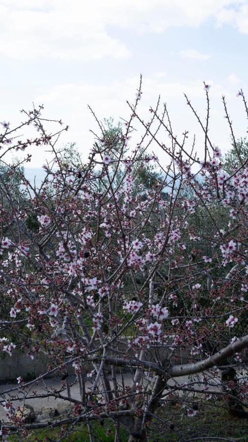 דירות Salignano  La Mennula Garden מראה חיצוני תמונה